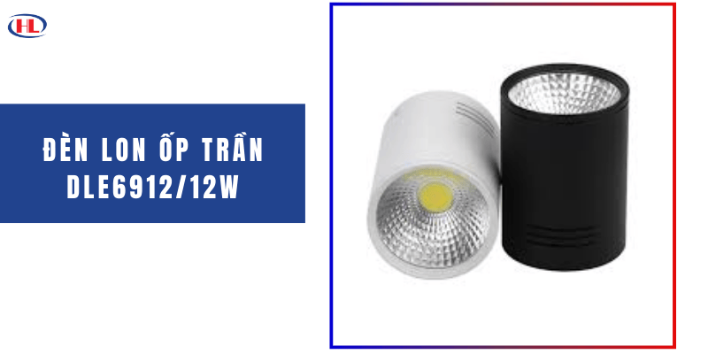 Đèn Lon Ốp Trần DLE691212W