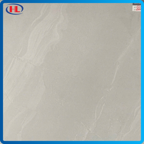 Gạch Granite Viglacera CLM6601