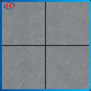 Gạch Nền Viglacera VHP6610