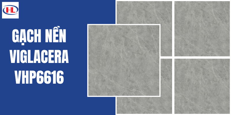 Gạch Nền Viglacera VHP6616