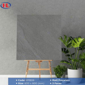 Gạch Ốp Lát Viglacera HM806