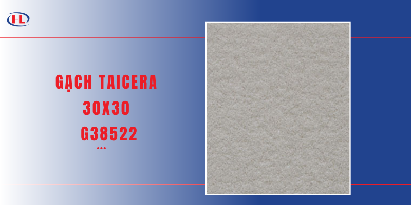 Gạch Taicera 30x30 G38522