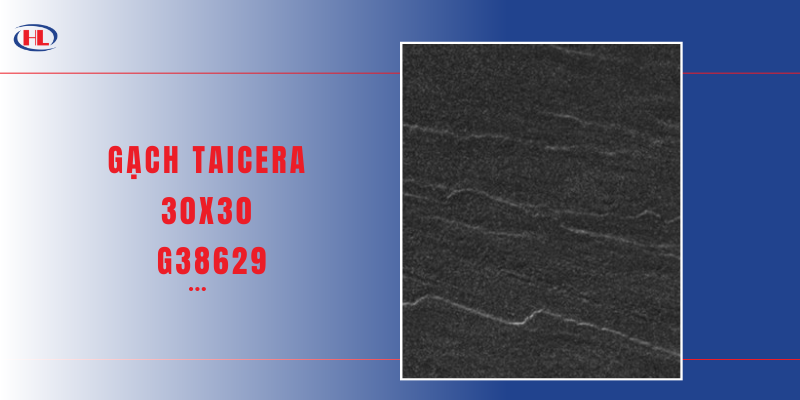 Gạch Taicera 30x30 G38629