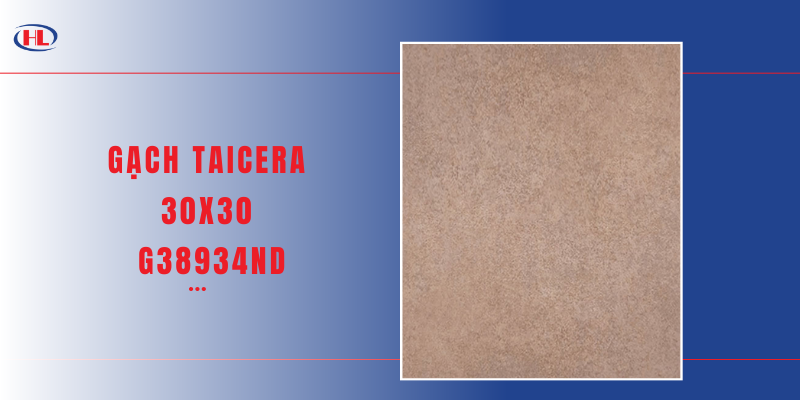 Gạch Taicera 30x30 G38934ND