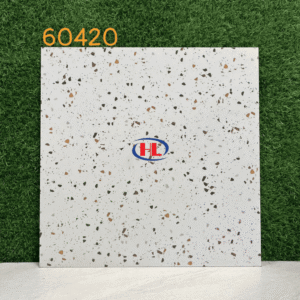 Gạch Terrazzo 60420