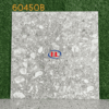 Gạch Terrazzo 60450B