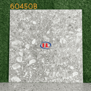 Gạch Terrazzo 60450B