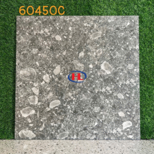 Gạch Terrazzo 60450C