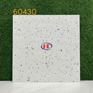 Gạch lát nền Terrazzo 60430