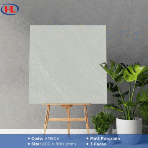 Gạch ốp lát Viglacera HM805