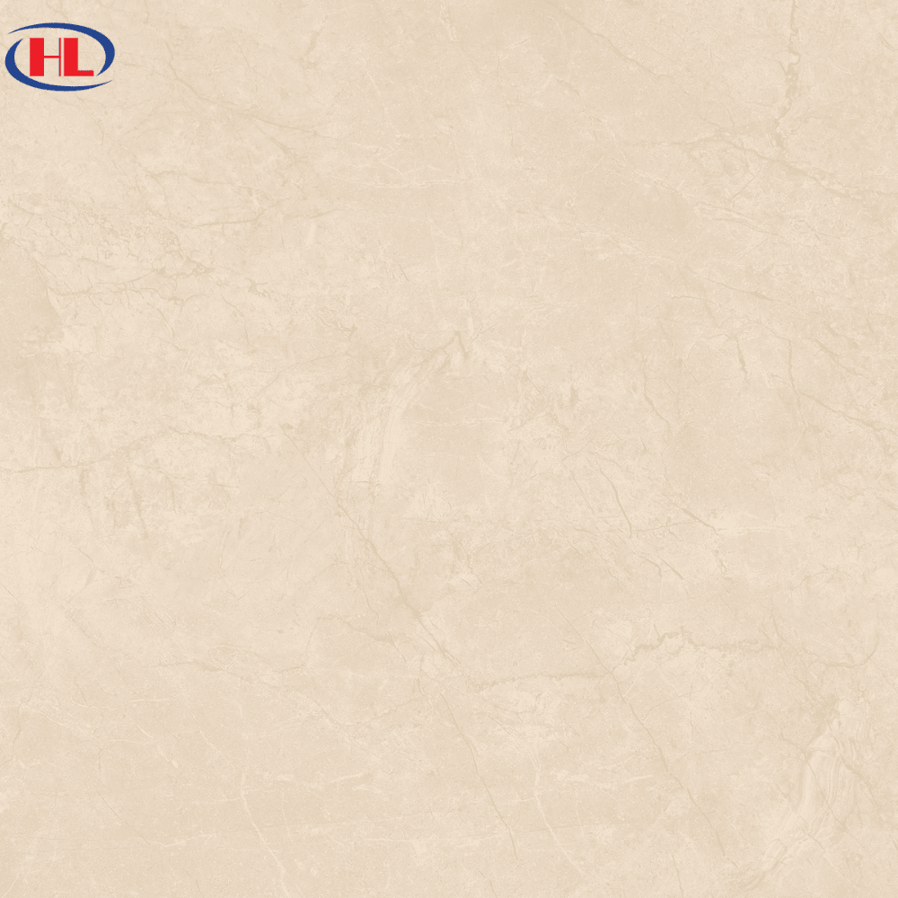 Gạch ốp lát Viglacera VHP8802