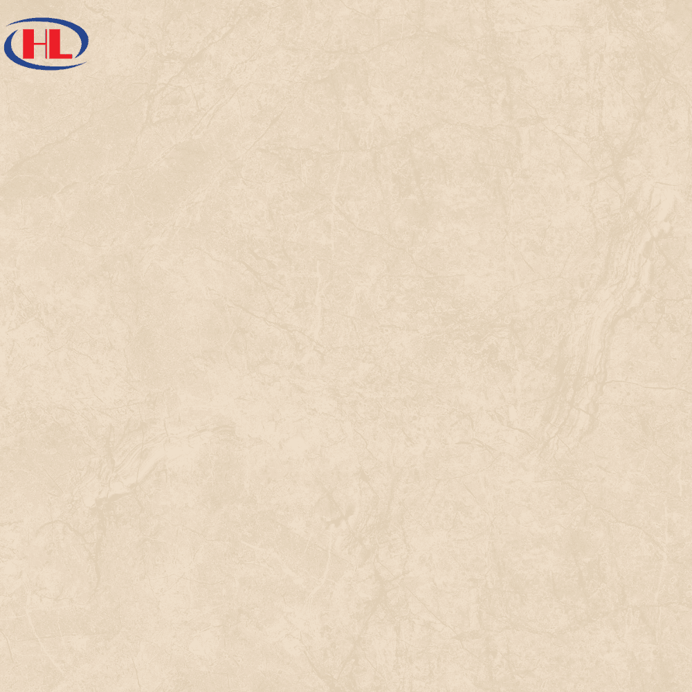 Gạch ốp lát Viglacera VHP8802-f2