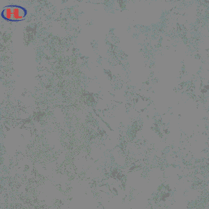 Gạch ốp lát Viglacera VHP8803 - f2