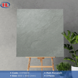 Gạch ốp lát Viglacera VHP8808