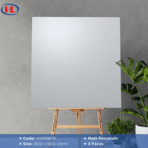 Gạch ốp lát Viglacera VHP8809