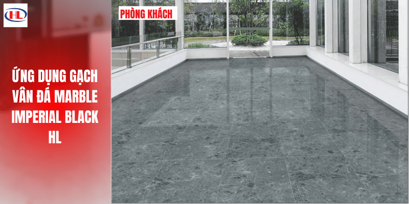 Ứng dụng gạch Vân Đá Marble Imperial Black HL