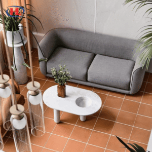 Ứng dụng gạch bông MF3169L