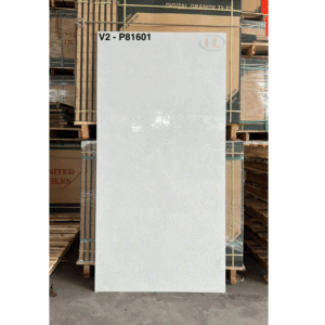 V2-P81601