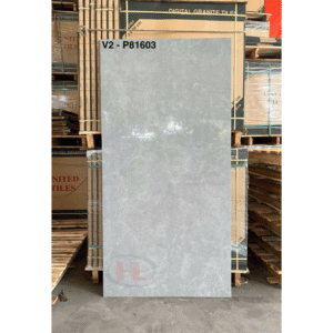V2-P81603