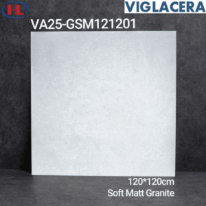 VA25-GSM121201