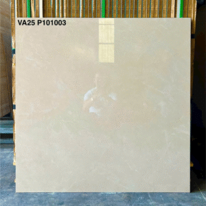 VA25 P101003