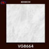 VG8664